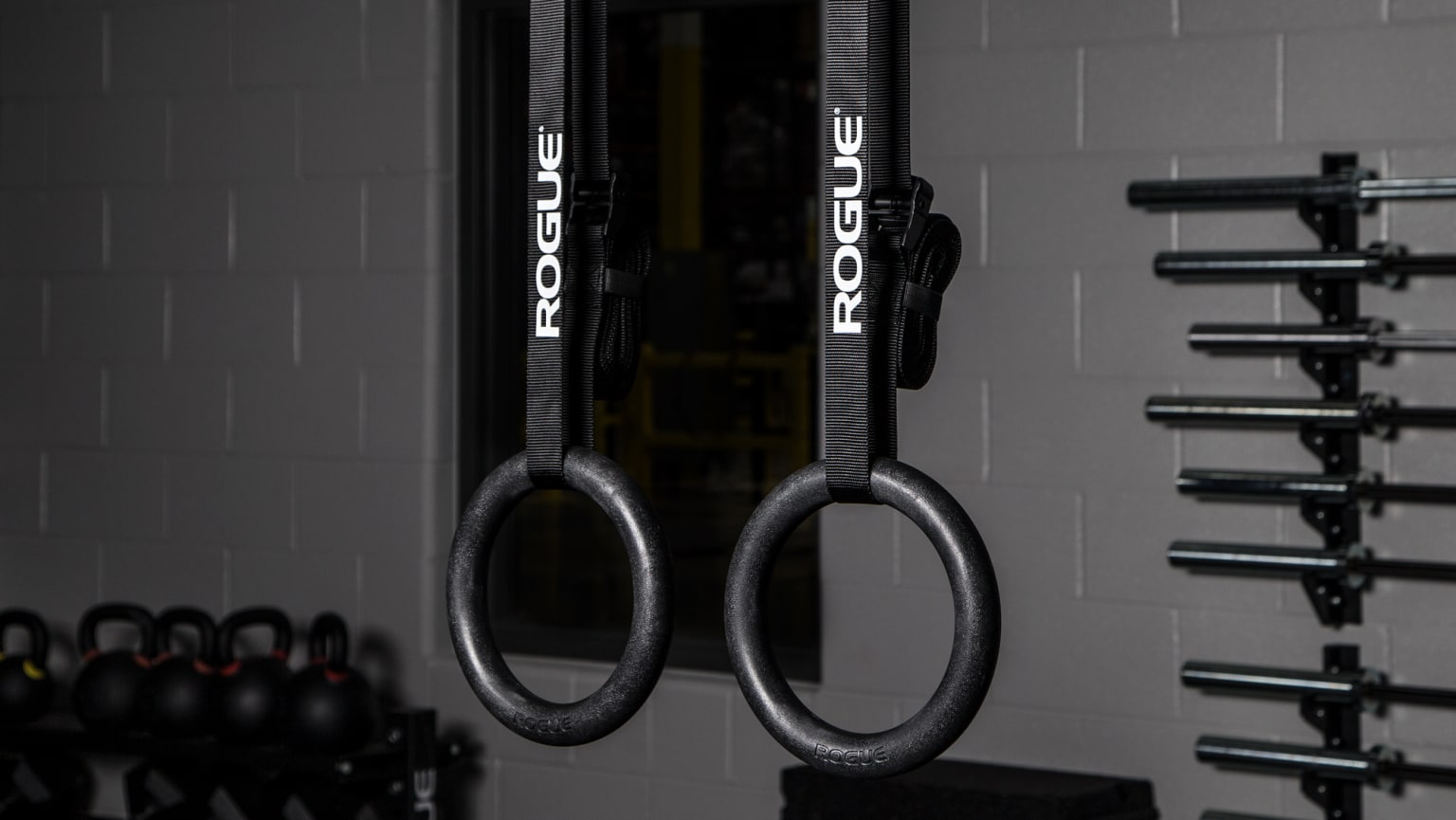 Rogue fitness ring new arrivals hanger